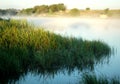 Smoke over the water at dawn