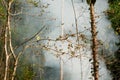 Smoke prairie fire. Dry grass blazes among bushes destruction of forests