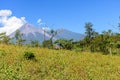 Smoke puffs from Fuego volcano