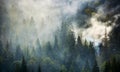 Smoke rise above spruce forest