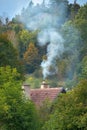 Smoke rises from the chimney on the house. Heating season. Roof with smoking chimney and trees in autumn