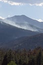 Smoke rising from the forest during the Schultz Fire near Flagstaff, Arizona.