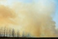 Smoke, smoke from burning straw take up Royalty Free Stock Photo