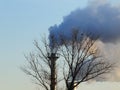 Smoke spews out of a chimney at an industrial plant near the trees