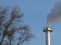 Smoke spews out of a chimney at an industrial plant near the trees with birds