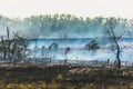 Smoke spreads over the scorched earth from natural summer fires