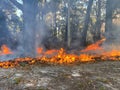 Smoke with sunlight from a bushfire in Australia