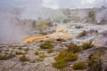 Smoke in Waimangu Volcanic valley in New Zealand