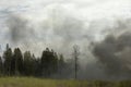 Smoke in woods. Fire in nature. Black smoke in countryside. It`s dangerous situation