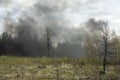 Smoke in woods. Fire in nature. Black smoke in countryside. It`s dangerous situation