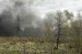 Smoke in woods. Fire in nature. Black smoke in countryside. It`s dangerous situation