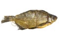 Smoked bream Royalty Free Stock Photo