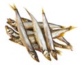 Smoked capelin isolated on white background Royalty Free Stock Photo