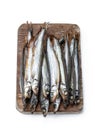Smoked dry capelin isolated on white background Royalty Free Stock Photo
