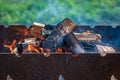 smoked firewood flame barbecue grill Royalty Free Stock Photo