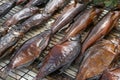 Smoked fish Royalty Free Stock Photo