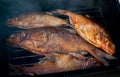 Smoked fish bream in the smokehouse. Royalty Free Stock Photo