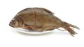 Smoked fish bream on a white plate wrapped with a rope isolated white Royalty Free Stock Photo