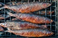 Smoked fish