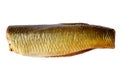 Smoked fish without head and tail on a white background Royalty Free Stock Photo
