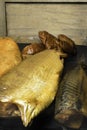 Smoked fish, mackerel, sig, perch and cod roe on the black wooden table. Omega 3 source. Polyunsaturated fats