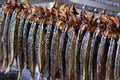 Smoked fish Royalty Free Stock Photo