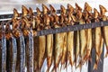 Smoked fish Royalty Free Stock Photo