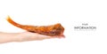 Smoked fish perch in hand pattern Royalty Free Stock Photo