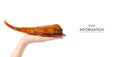 Smoked fish perch in hand pattern Royalty Free Stock Photo