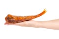 Smoked fish perch in hand Royalty Free Stock Photo