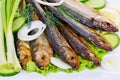 Smoked fish, salad Royalty Free Stock Photo