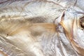 Smoked fish skin as a background Royalty Free Stock Photo