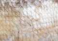 Smoked fish skin as a background Royalty Free Stock Photo