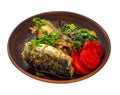 Smoked fish with vegetables on a natural clay plate. mackerel Royalty Free Stock Photo
