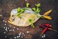 Smoked fish Vomero and spices on an old black table Royalty Free Stock Photo