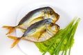 Smoked fish on white plate with vegetables on backgroun