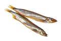 Smoked fishes on white background