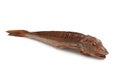 Smoked gurnard fish Royalty Free Stock Photo