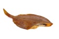 Smoked headless flatfish