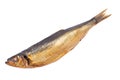 Smoked herring Royalty Free Stock Photo