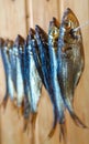 Smoked herring fish. Delicious smoked fish on the burlap. Royalty Free Stock Photo