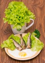 Smoked herring with lettuce Royalty Free Stock Photo