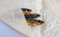A smoked horse mackerel close-up lies wrapped on a crumpled paper background Royalty Free Stock Photo