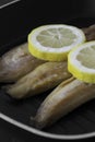 Smoked mackerel fillets with lemon in a griddle frying pan prepared for cooking Royalty Free Stock Photo