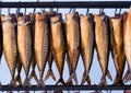 Smoked mackerel fish food background Royalty Free Stock Photo