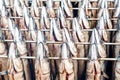 Smoked mackerel Royalty Free Stock Photo