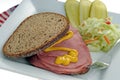 Smoked Meat Sandwich Royalty Free Stock Photo