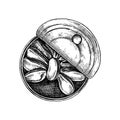 Smoked mussels in opened tin can illustration. Tinned seafood vector drawing. Hand drawn canned mussels sketch isolated on vintage Royalty Free Stock Photo