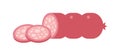 Smoked salami sausage isolated vector.