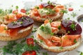 Smoked salmon bagel toasts with soft cheese, cucumber ribbons and beetroot and dill, cress salad Royalty Free Stock Photo